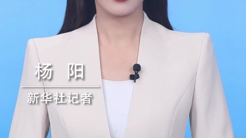 大数据分析公司代理条件：揭秘企业选择之道